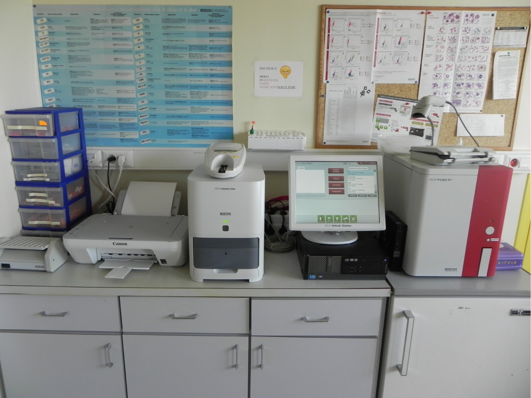Clinique Veterinaire De La Hainaud Veterinaire A Ernee Laboratoire 6