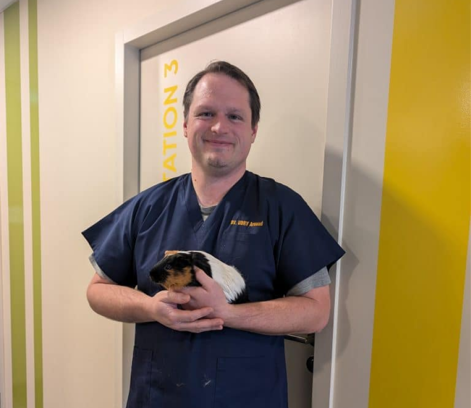 Clinique Veterinaire De La Hainaud Veterinaire A Ernee NAC 1