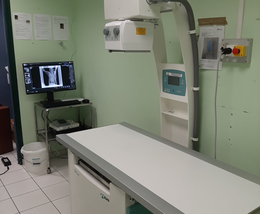 Clinique Veterinaire De La Hainaud Veterinaire A Ernee Structure 5