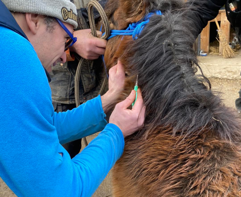Clinique Veterinaire De La Hainaud Veterinaire A Ernee Quine 1 1