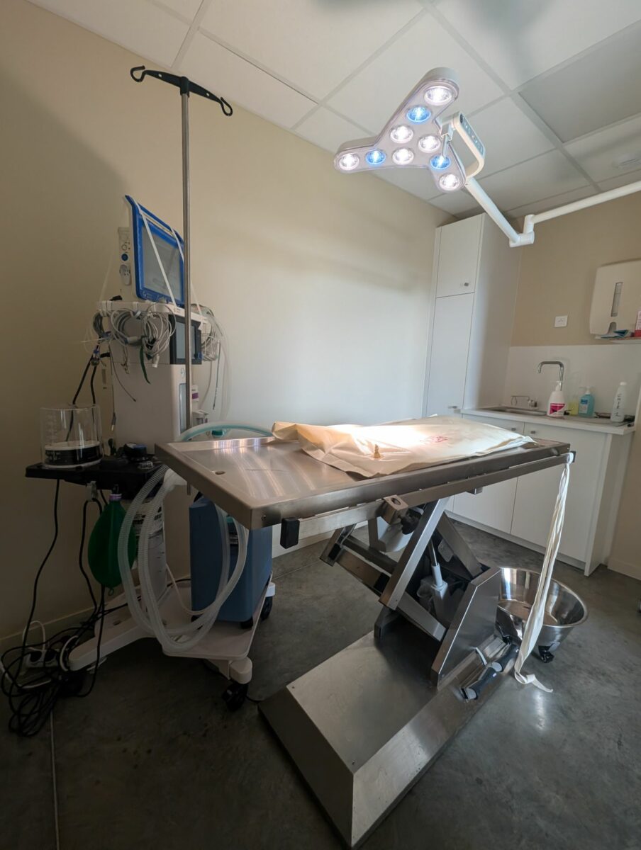 Clinique Veterinaire De La Hainaud Veterinaire A Ernee Salle De Chirurgie 2